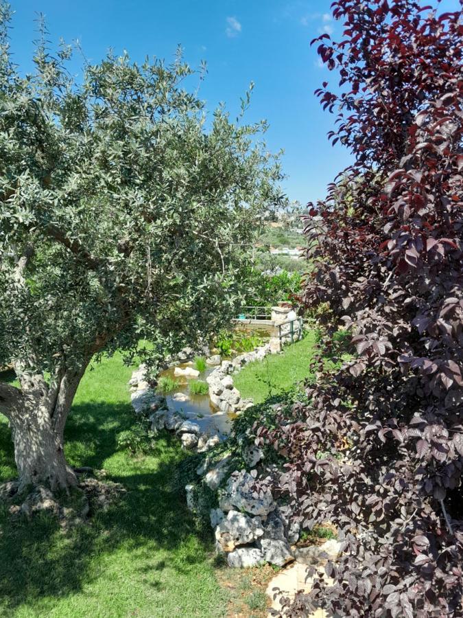 La Rosa Dei Trulli Alberobello