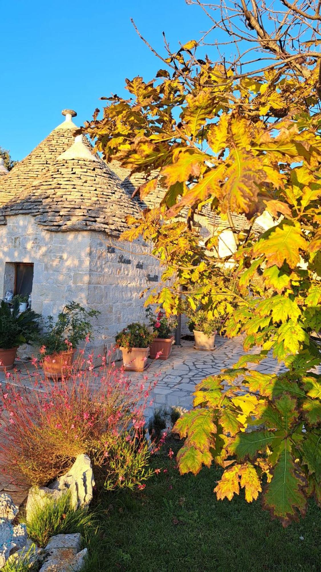 Bed & Breakfast La Rosa Dei Trulli 2*