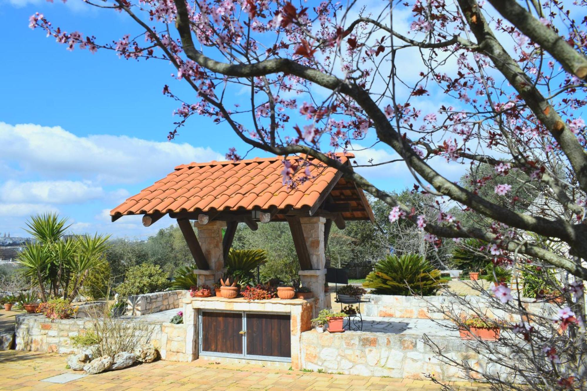 La Rosa Dei Trulli 2*