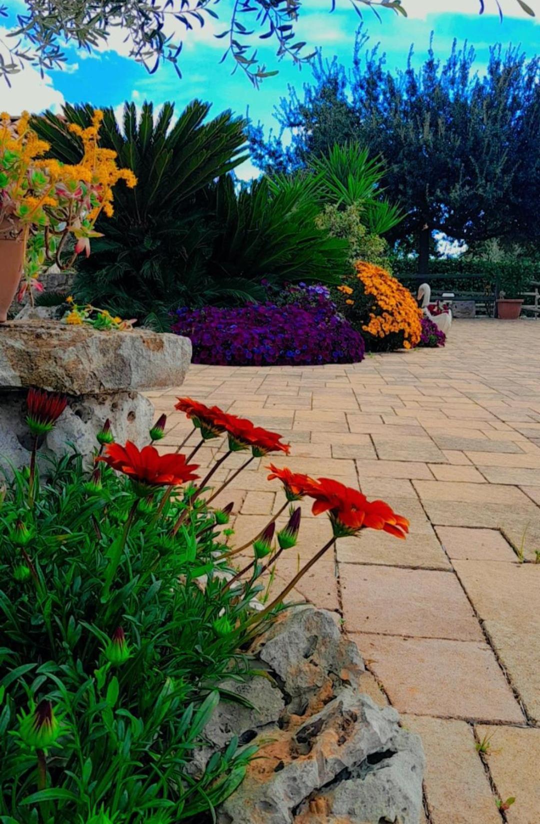 La Rosa Dei Trulli Bed & Breakfast Alberobello