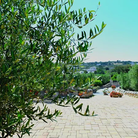 La Rosa Dei Trulli B&B Alberobello Exterior photo