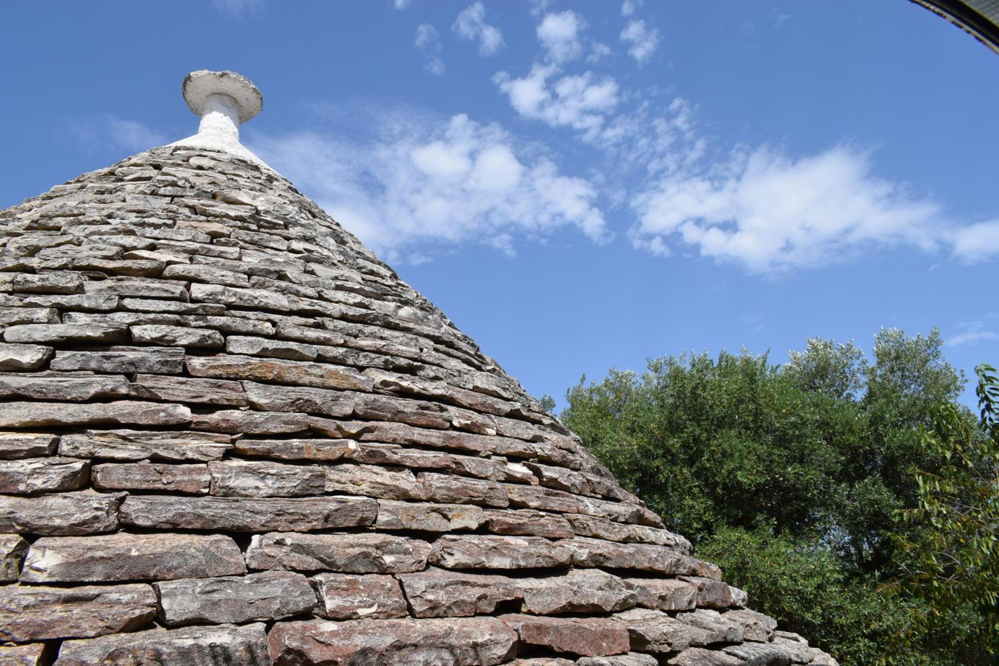 Bed and breakfast La Rosa Dei Trulli 2*