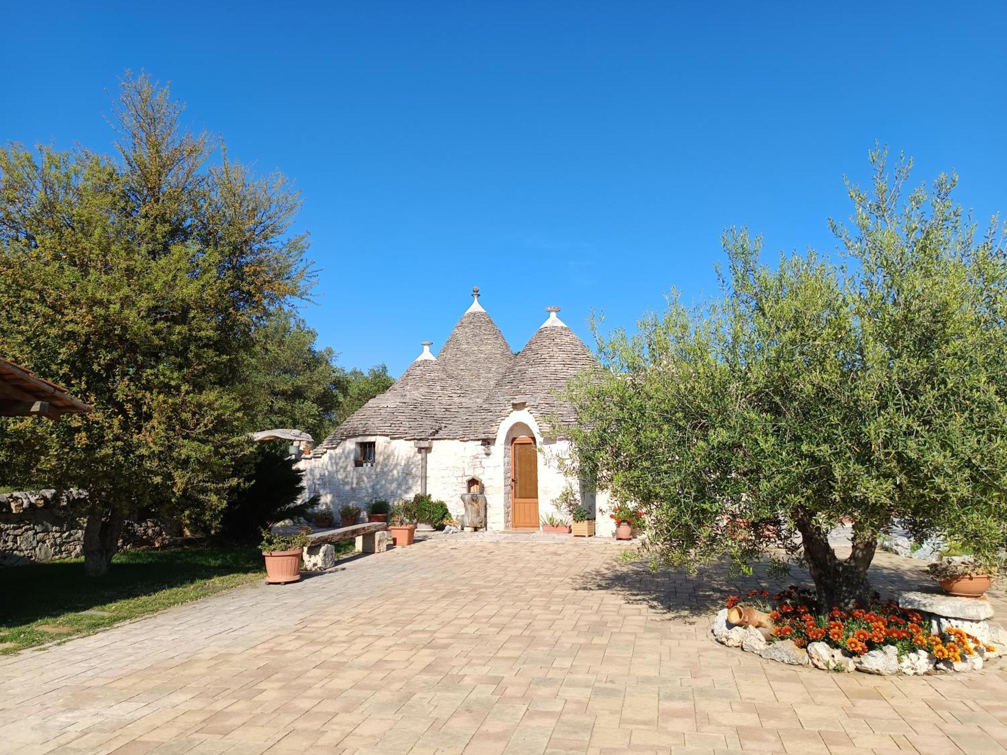 Bed & Breakfast La Rosa Dei Trulli
