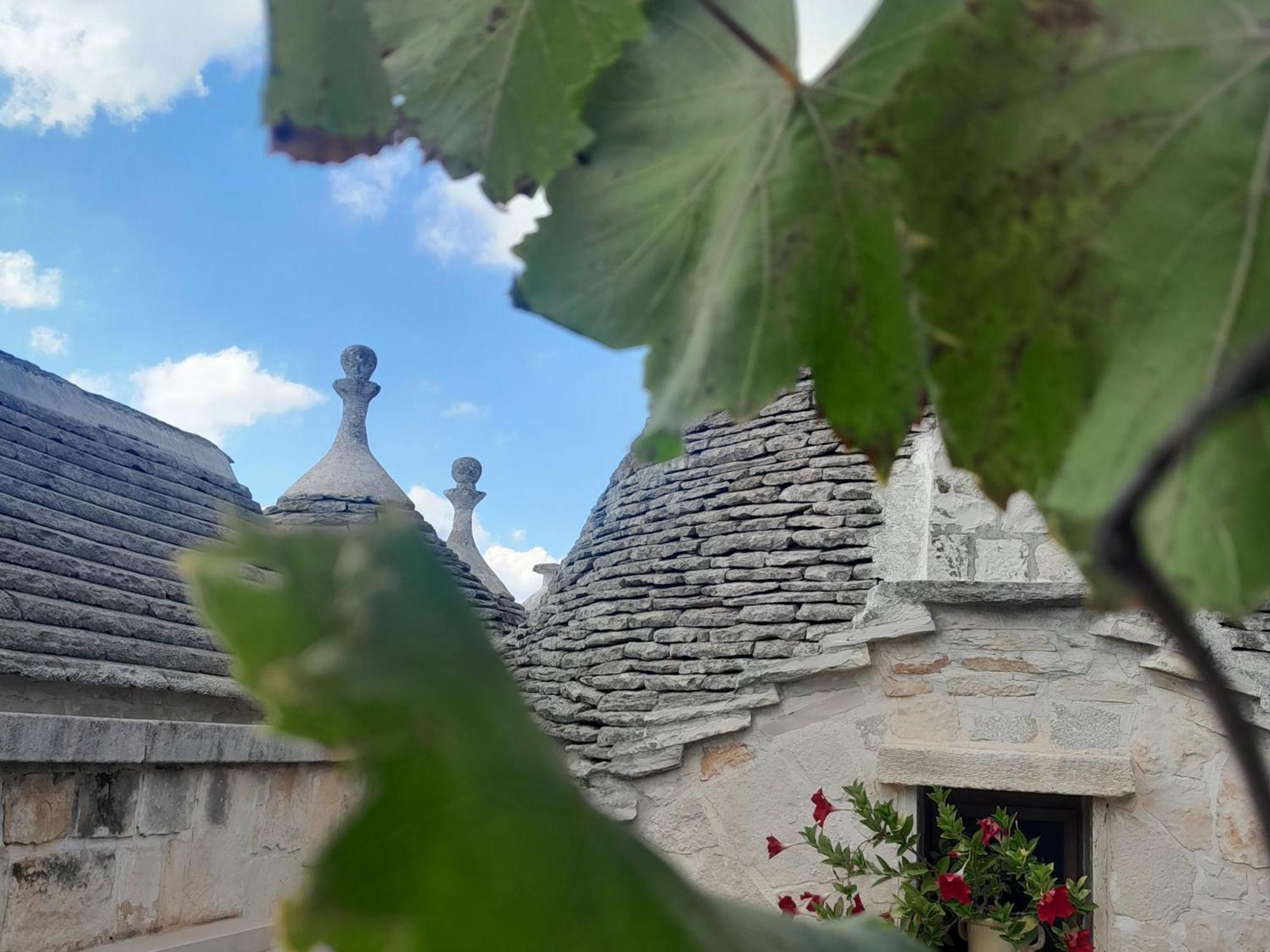 Bed & Breakfast La Rosa Dei Trulli 2*