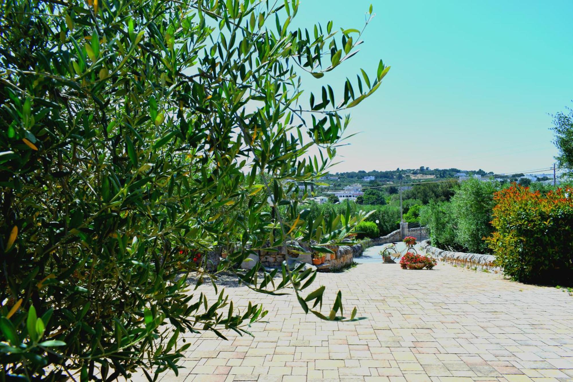 Bed and breakfast La Rosa Dei Trulli Alberobello