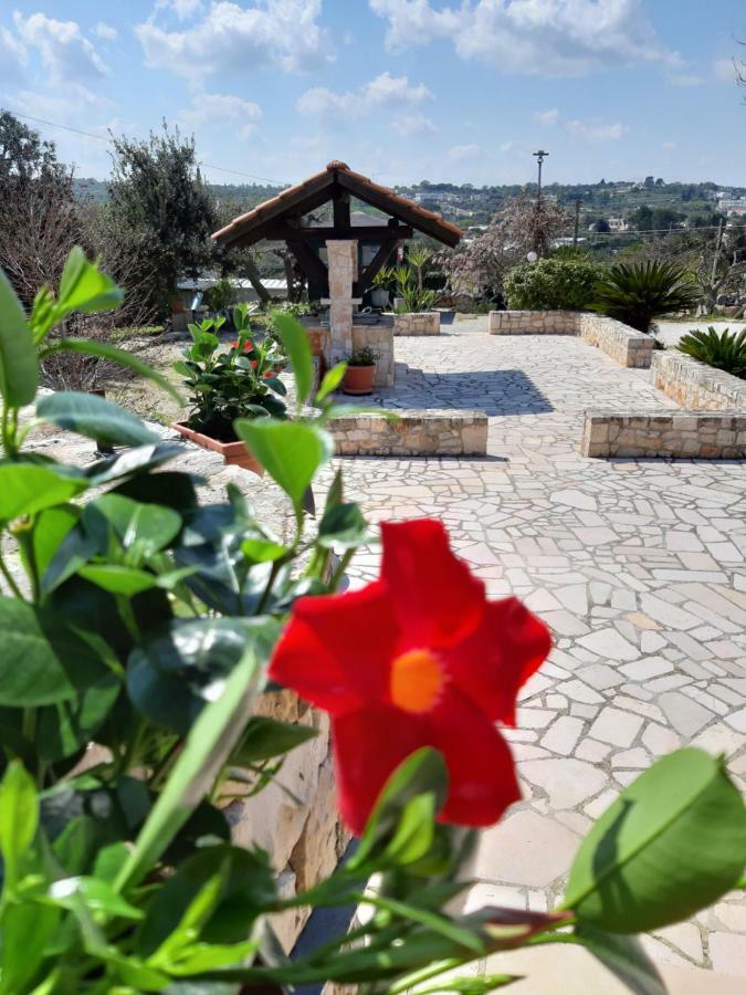 La Rosa Dei Trulli Bed and breakfast Alberobello